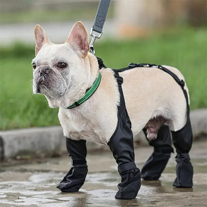 Dog Shoes